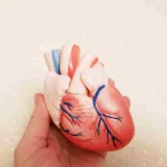 How to Take Care of Heart Naturally: Tips and Remedies