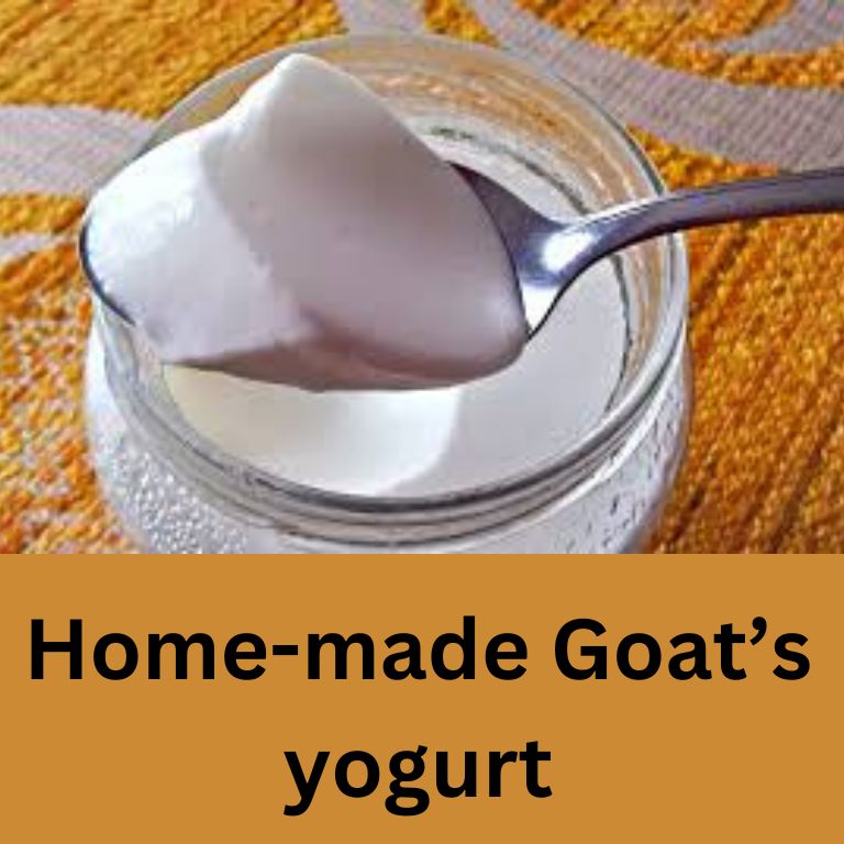 Easy Goat’s Milk Yogurt Recipe Without Yogurt